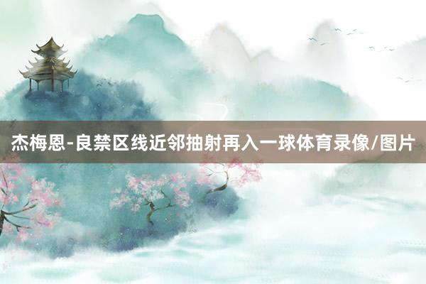 杰梅恩-良禁区线近邻抽射再入一球体育录像/图片